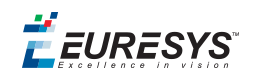 EURESYS logo